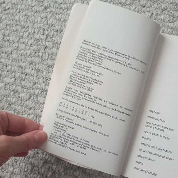 Horses/Ponies Of The World - Picture 2 of 6